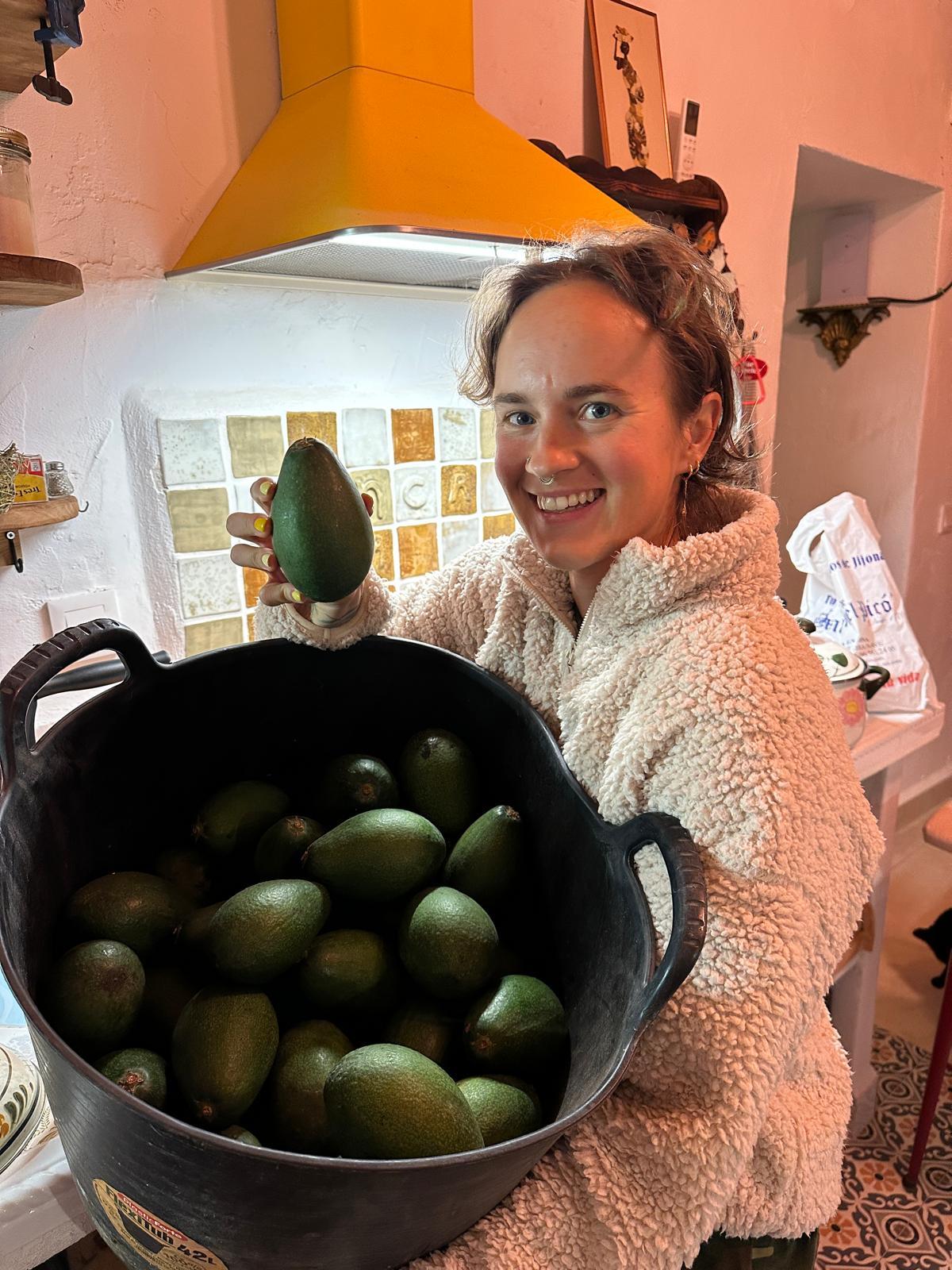 Transport 8.12 - Awokado z sadu Marty (2,5kg)