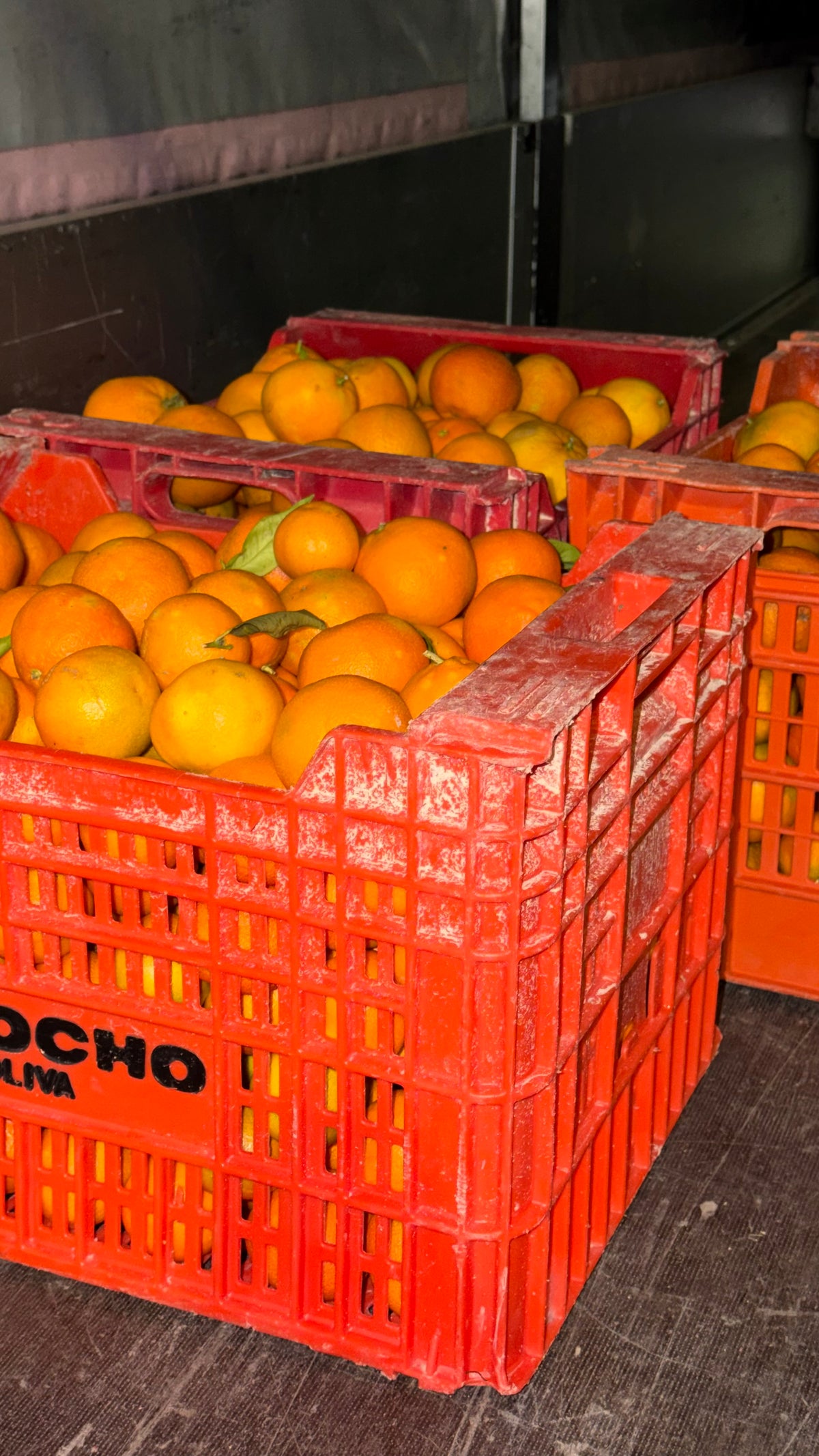 Mandarynki bezpestkowe (2kg)