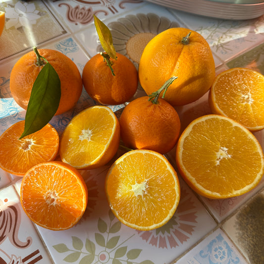 Mix Klementynka Pomarańcza (5kg)