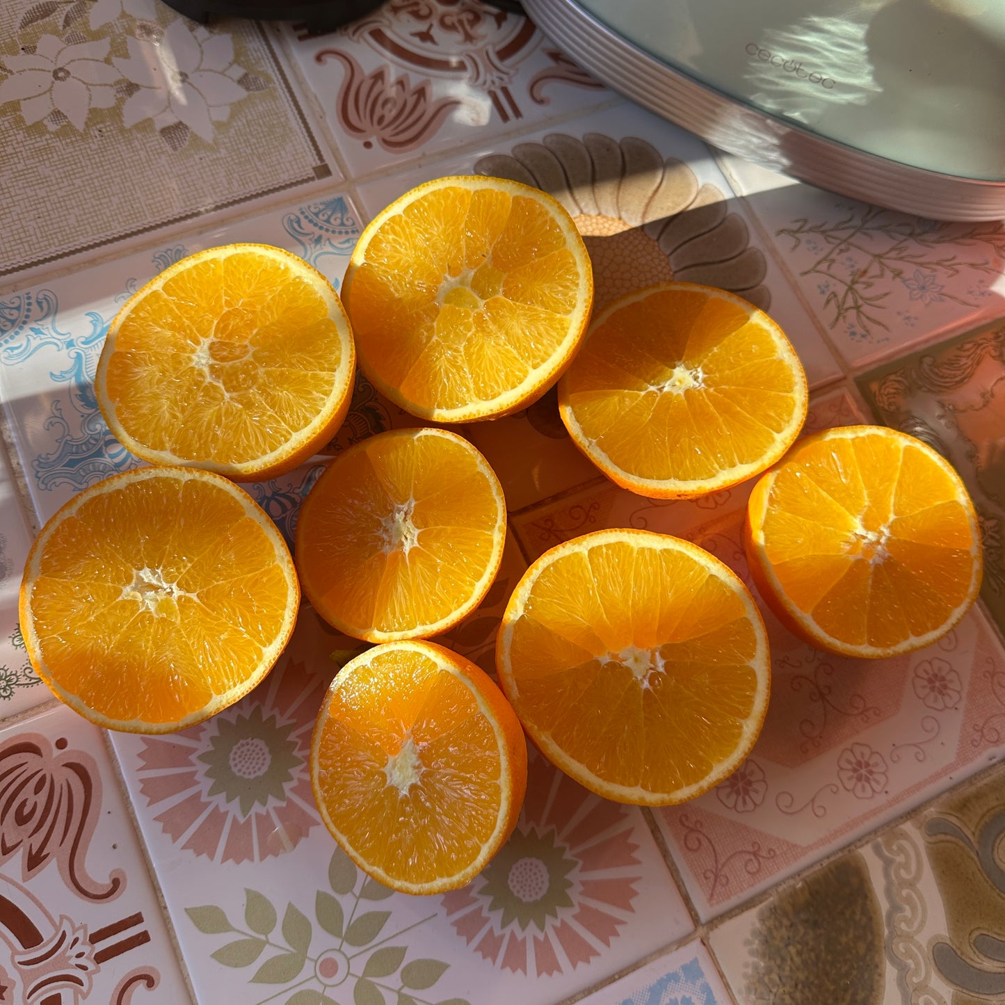 Transport 8.12 - Pomarańcze z sadu Marty (5kg)