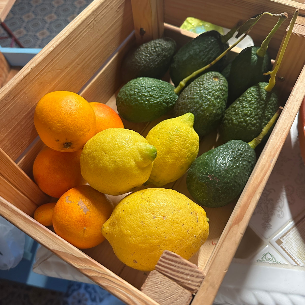 Mix B Cytryna Pomarańcza Awokado (4kg)