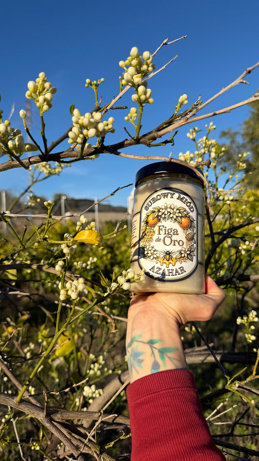 Miód z Kwiatów Pomarańczy