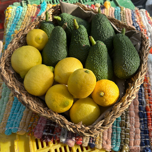 Miks Guacamole (3kg)