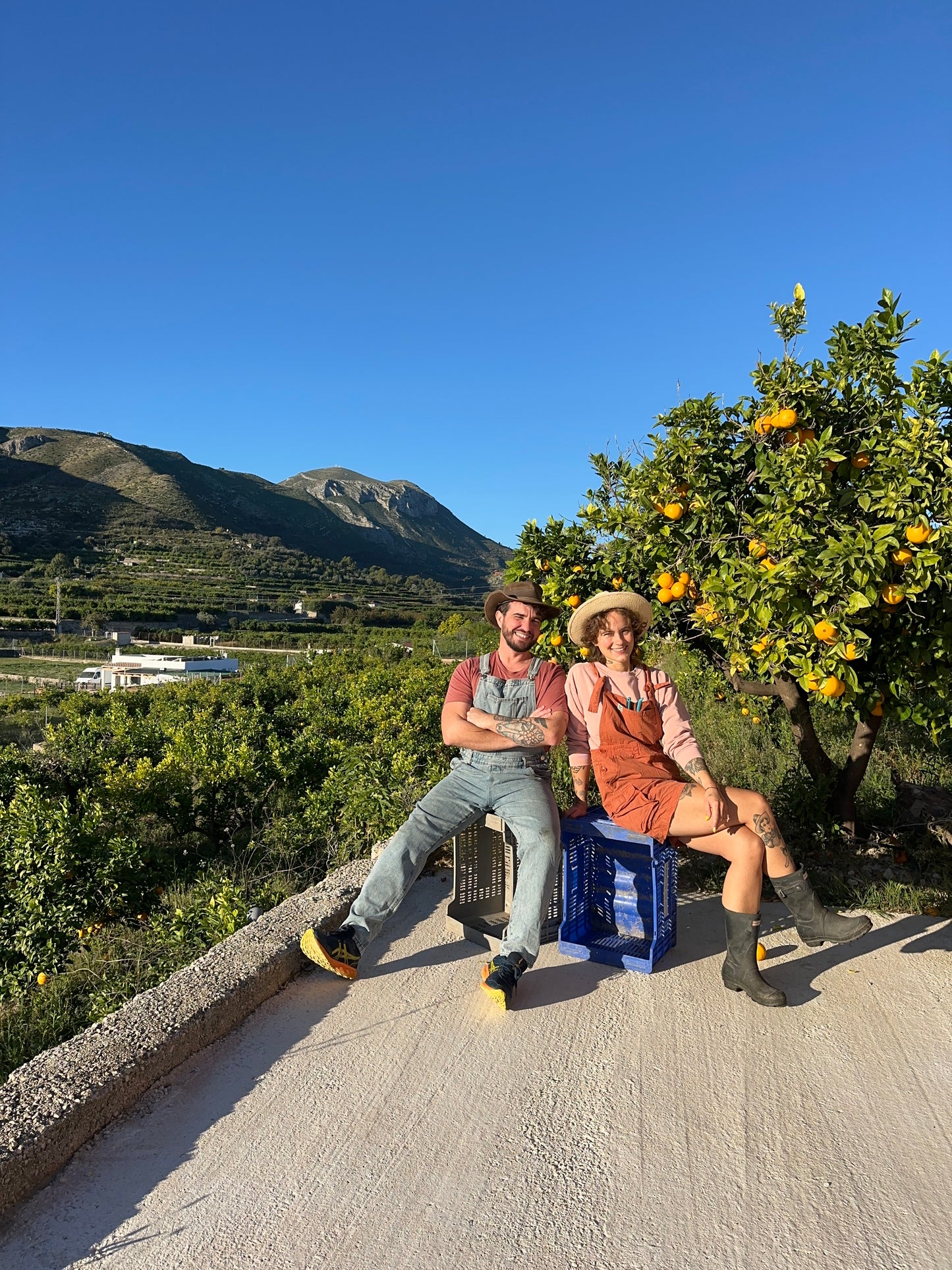 Transport 8.12 - Pomarańcze z sadu Marty (5kg)