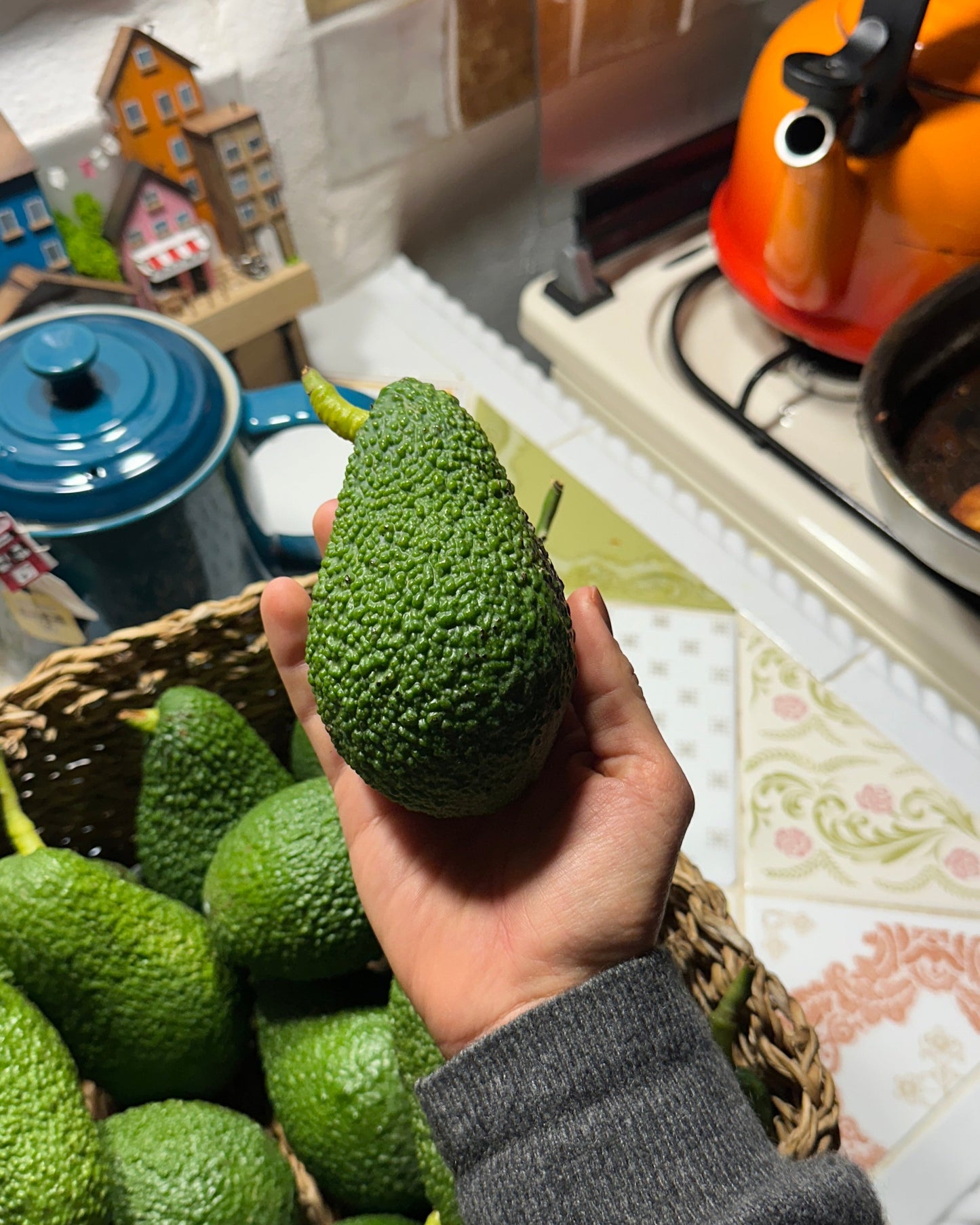 Awokado Hass (2,5kg)