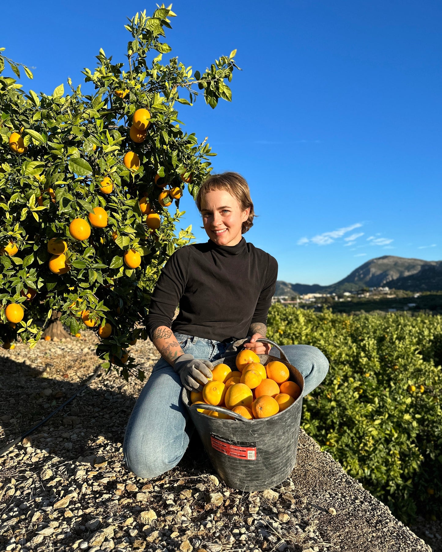 Transport 8.12 - Pomarańcze z sadu Marty (5kg)