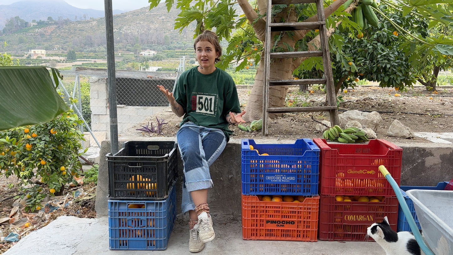 Transport 8.12 - Pomarańcze z sadu Marty (5kg)